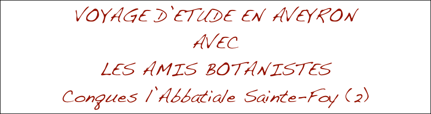 VOYAGE D’ETUDE EN AVEYRON
AVEC
LES AMIS BOTANISTES
Conques l’Abbatiale Sainte-Foy (2)