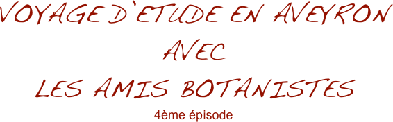 VOYAGE D’ETUDE EN AVEYRON
AVEC
LES AMIS BOTANISTES 
4ème épisode