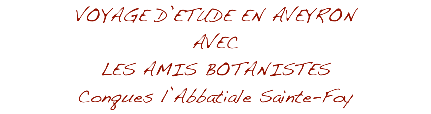 VOYAGE D’ETUDE EN AVEYRON
AVEC
LES AMIS BOTANISTES
Conques l’Abbatiale Sainte-Foy